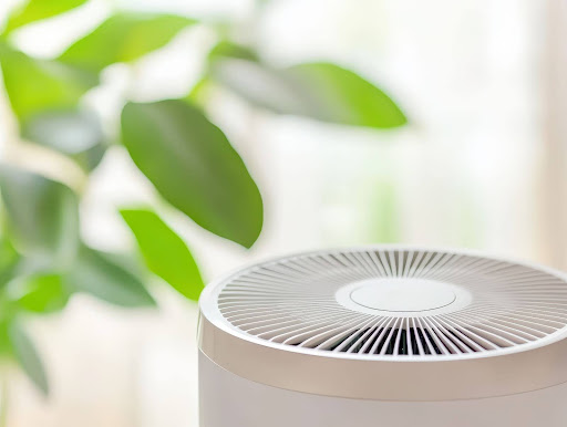 air purifier next to green plant